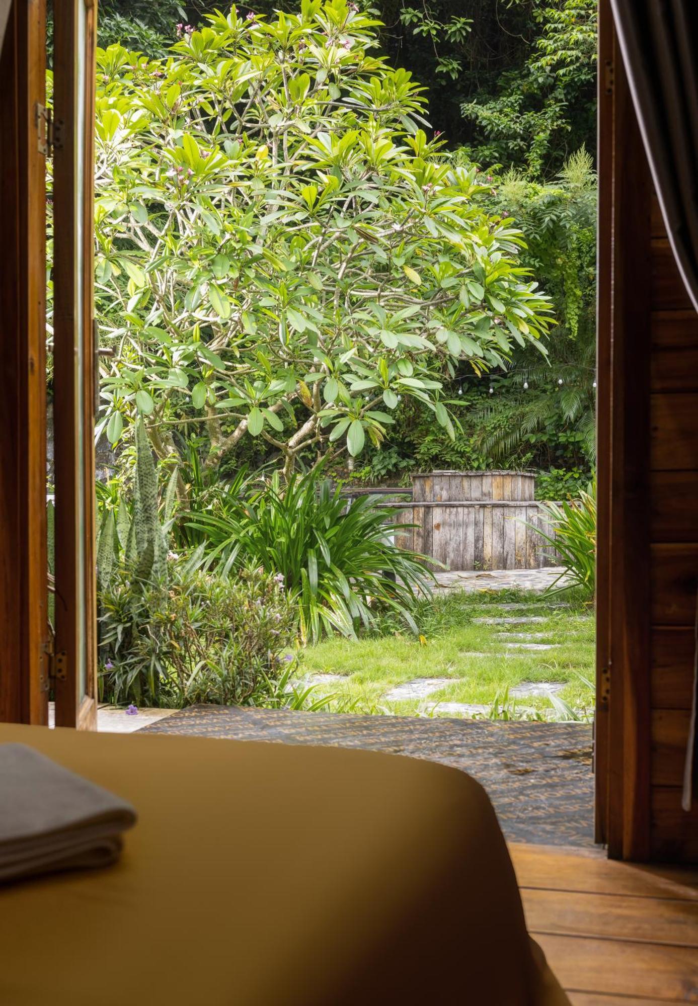 Catba Backpackers Hostel & Pool Bar Chan Chau Екстер'єр фото
